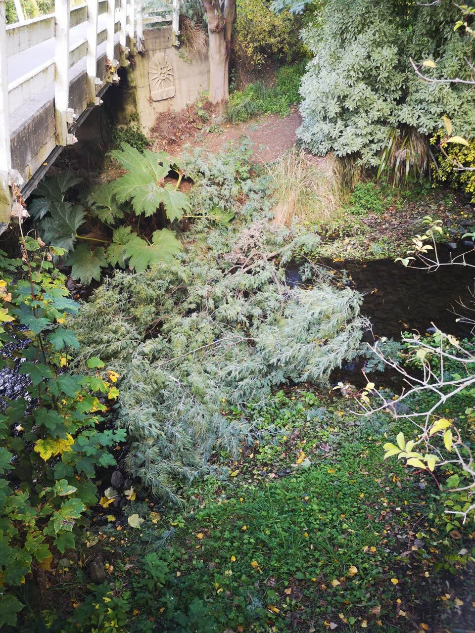 The photograph attached to this flooding report