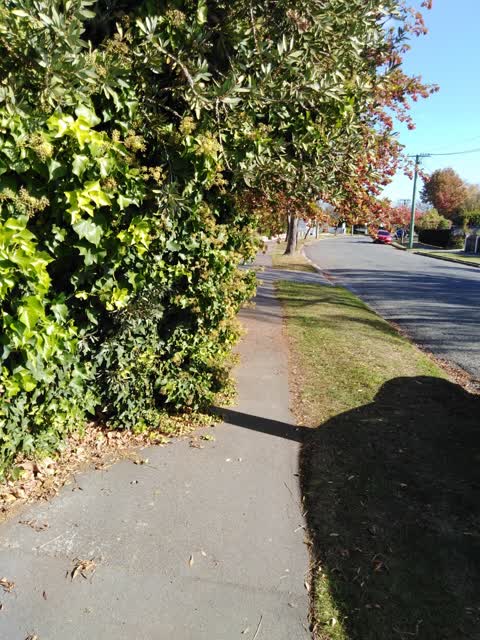 Roading/Streets, a report photo