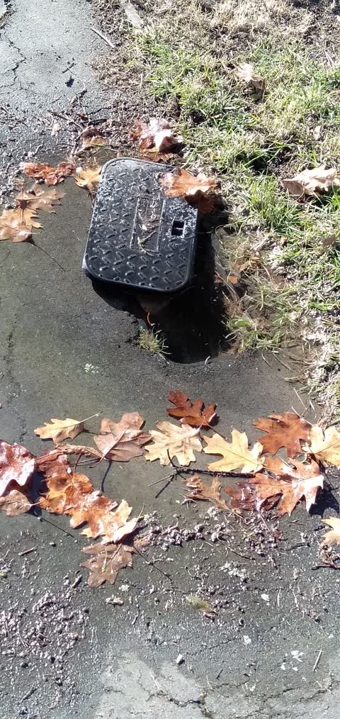 Water Leak, a report photo