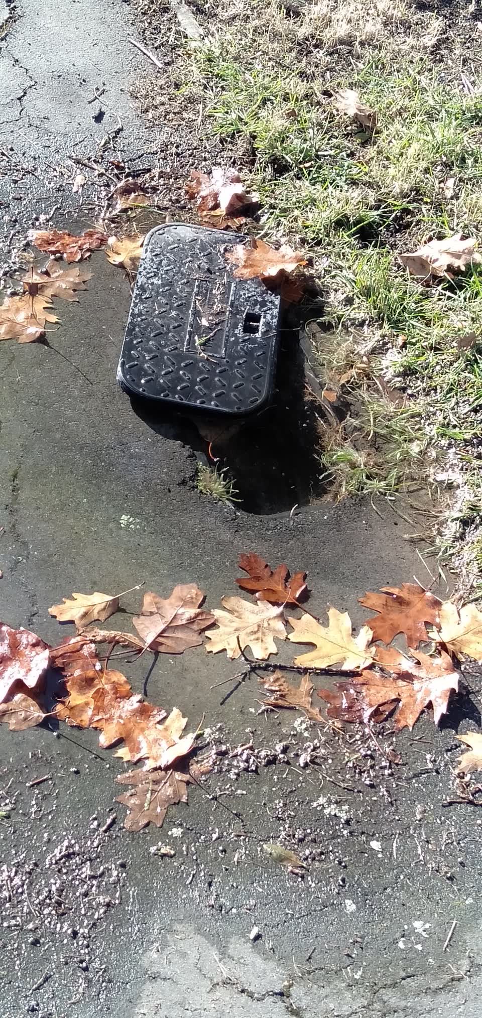 The photograph attached to this water leak report