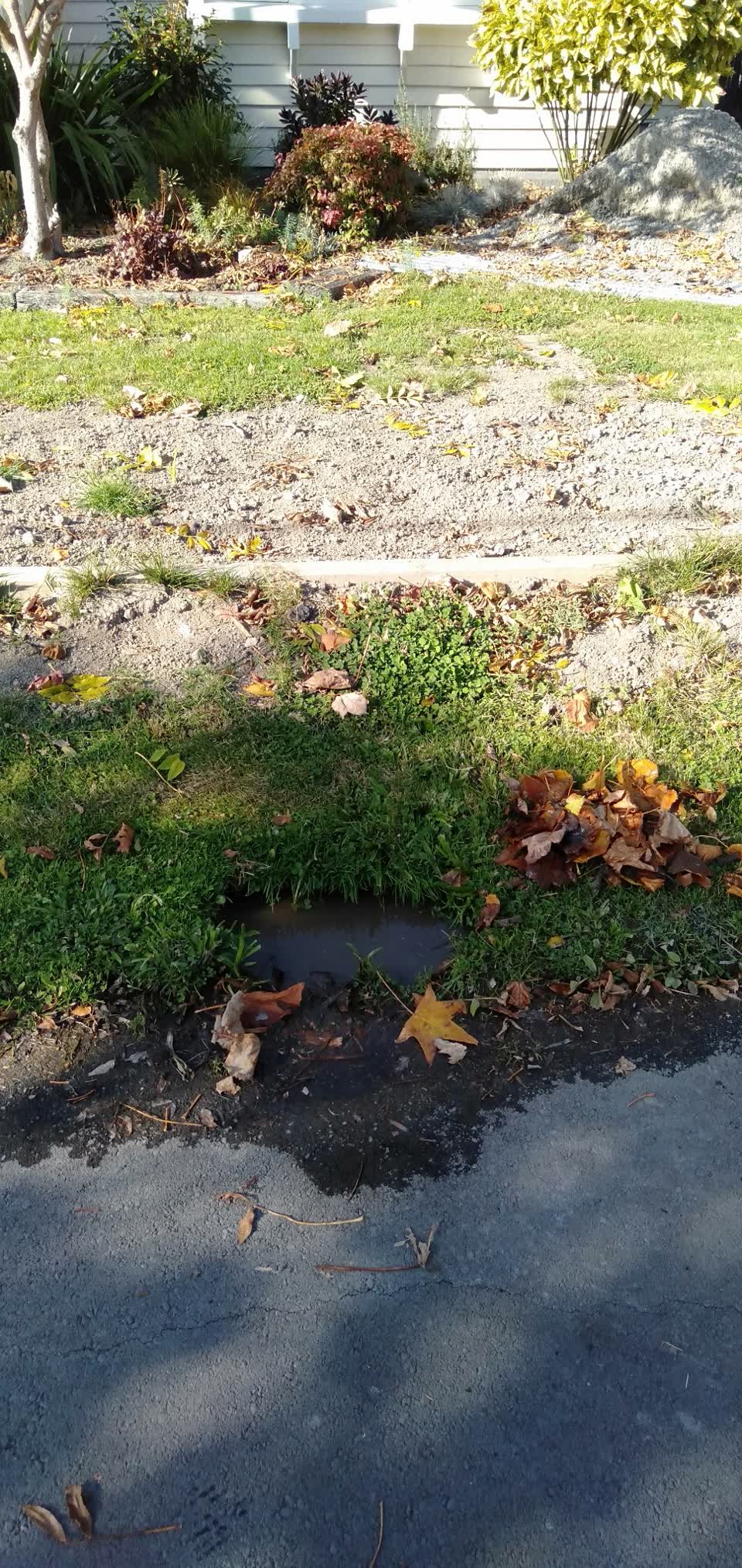 The photograph attached to this water leak report
