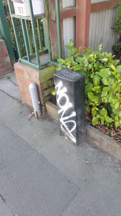Graffiti, a report photo