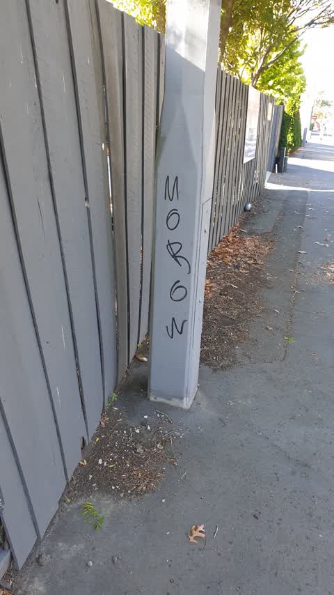 Graffiti, a report photo