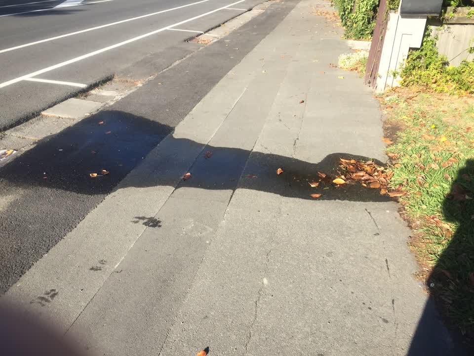 The photograph attached to this water leak report