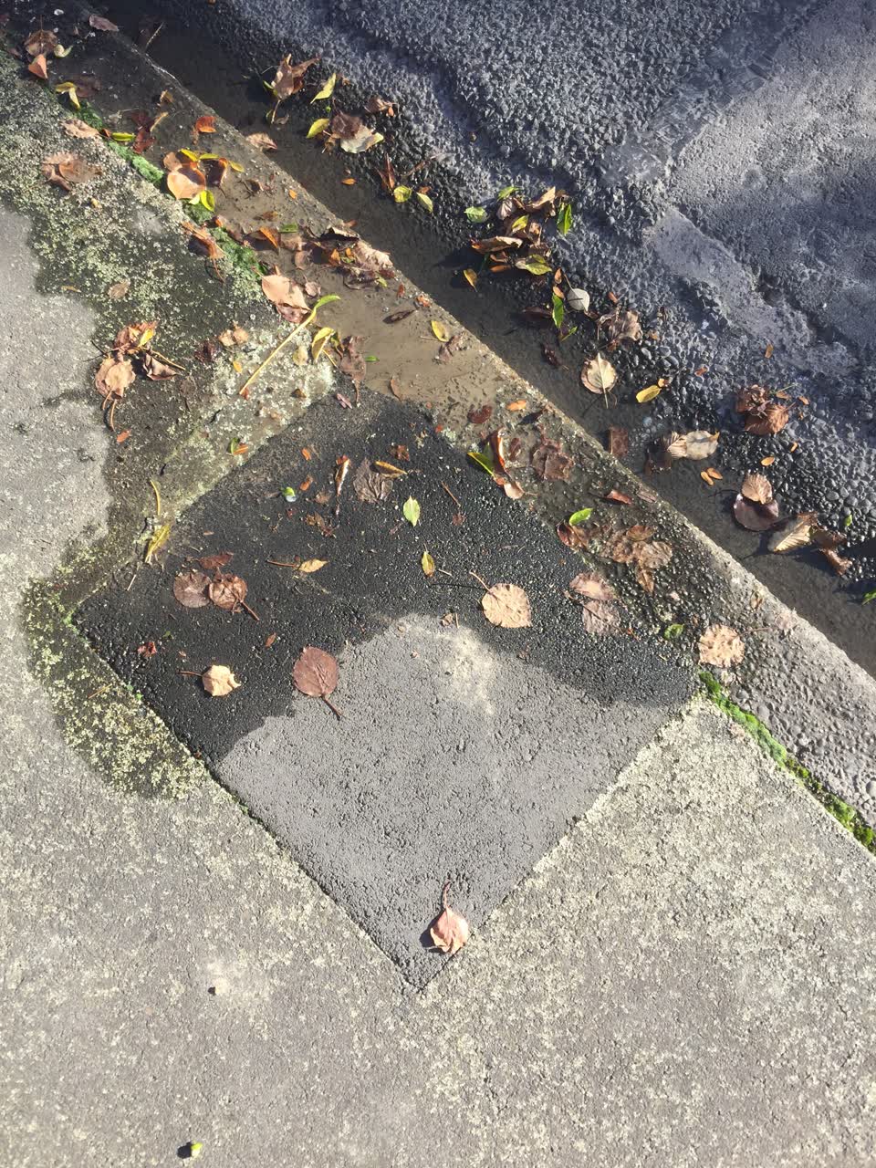 The photograph attached to this water leak report