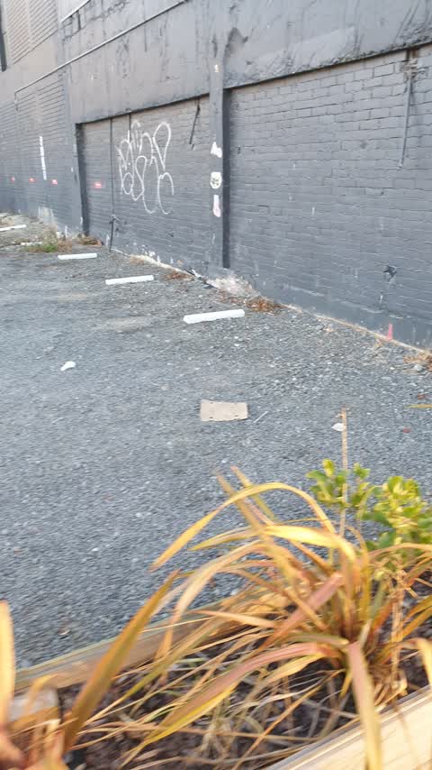 Graffiti — a report photo