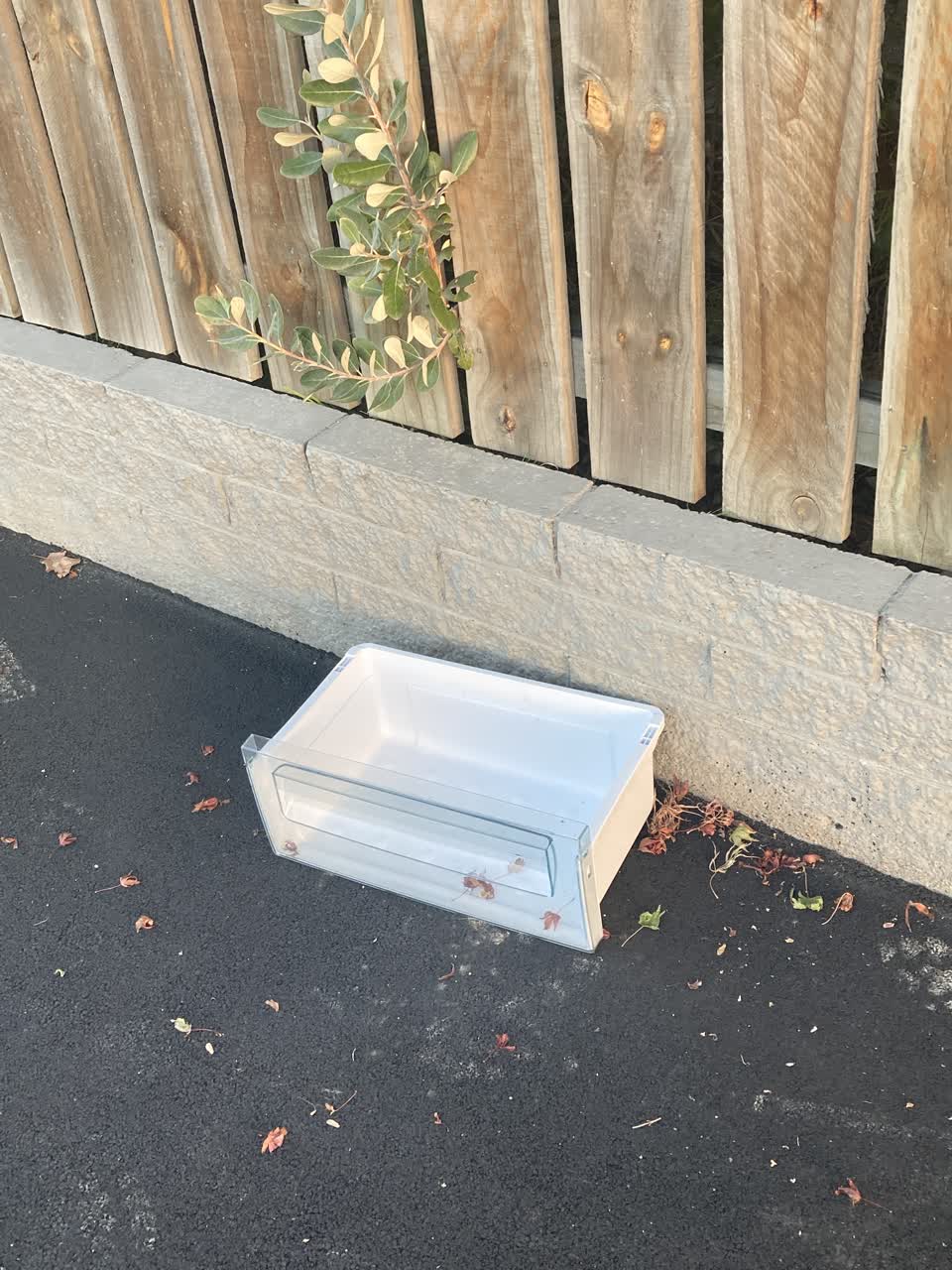 The photograph attached to this rubbish/recycling report