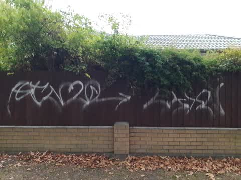 Graffiti, a report photo