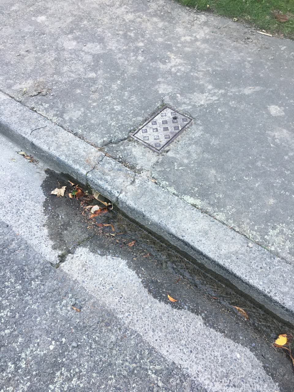 The photograph attached to this water leak report