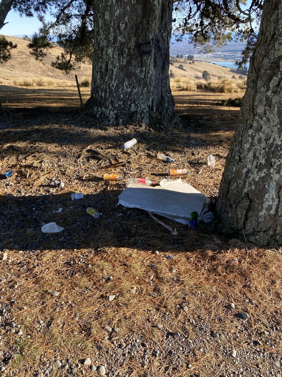 The photograph attached to this rubbish/recycling report