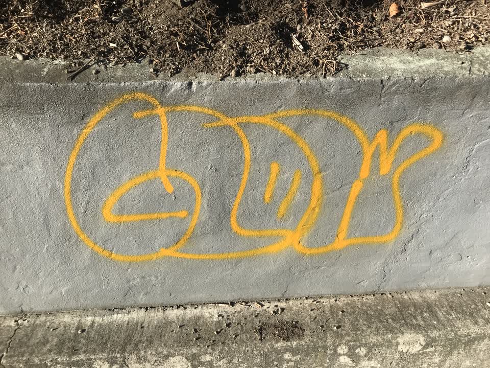 The photograph attached to this graffiti report