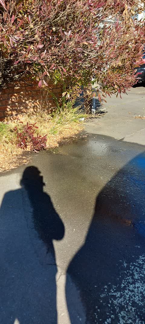 Water Leak, a report photo
