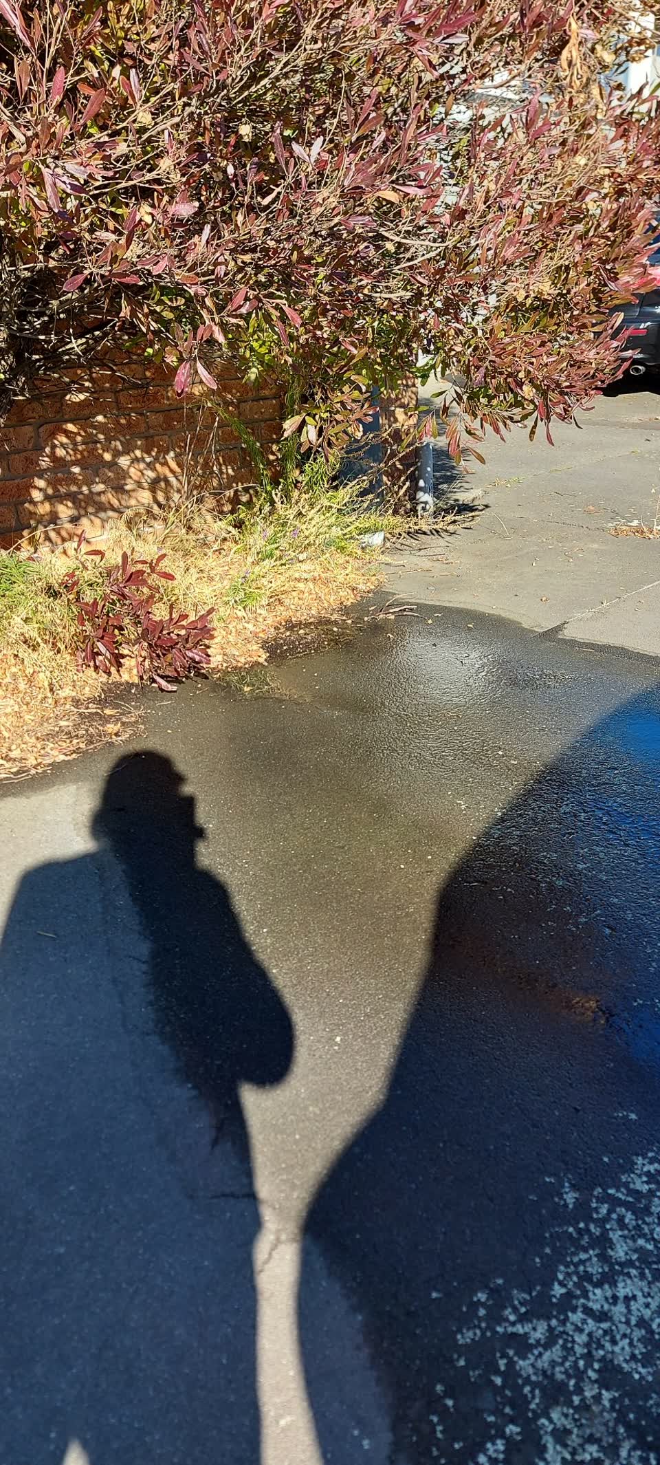 The photograph attached to this water leak report