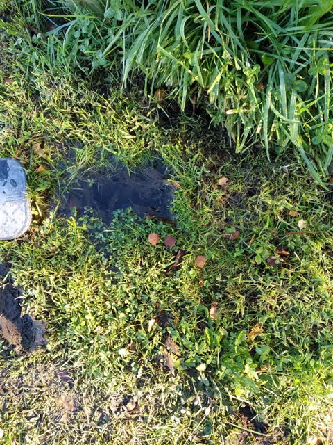 Water Supply, a report photo