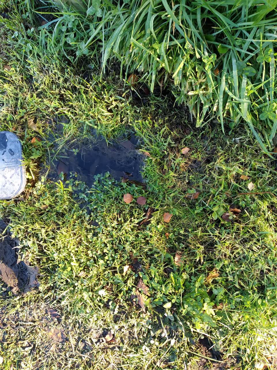 The photograph attached to this water supply report