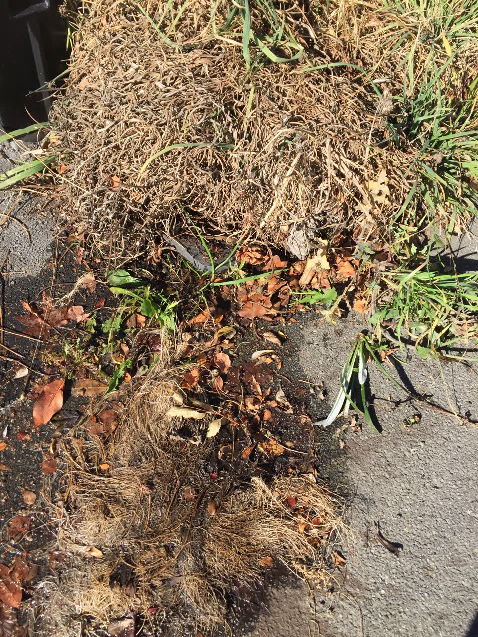 The photograph attached to this water leak report