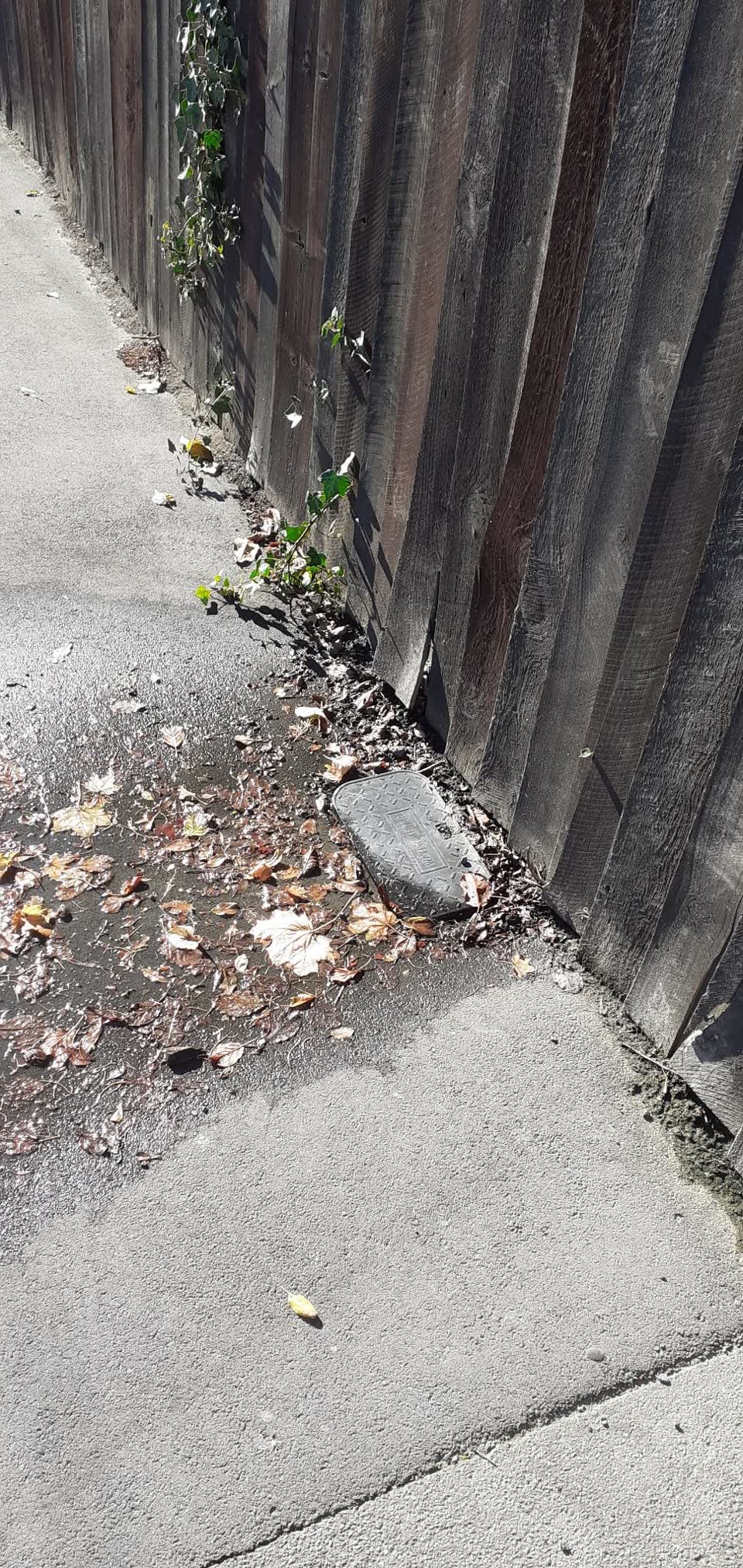 The photograph attached to this water leak report