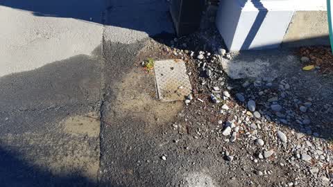 Water Leak, a report photo