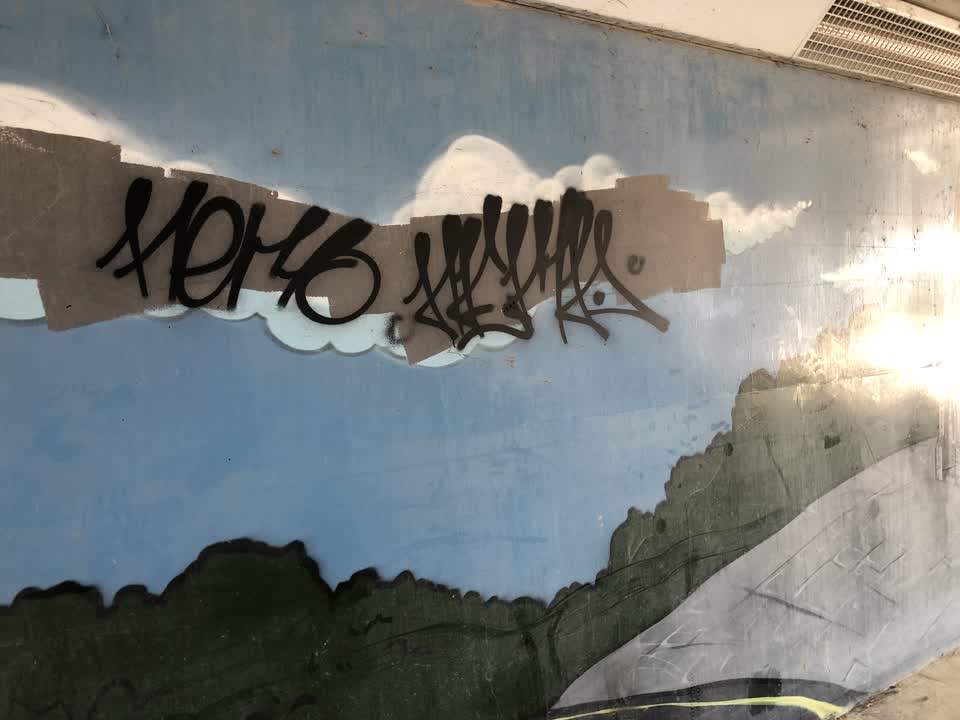 The photograph attached to this graffiti report