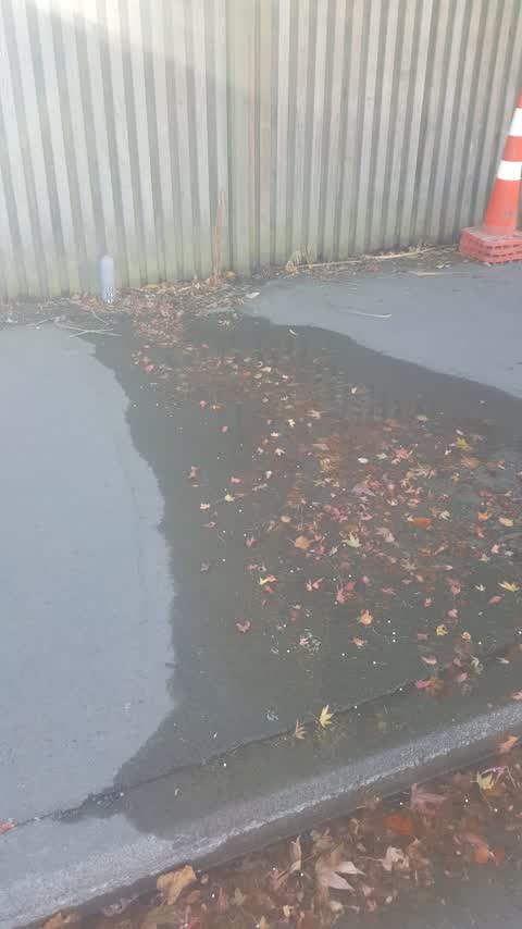 Water Leak, a report photo