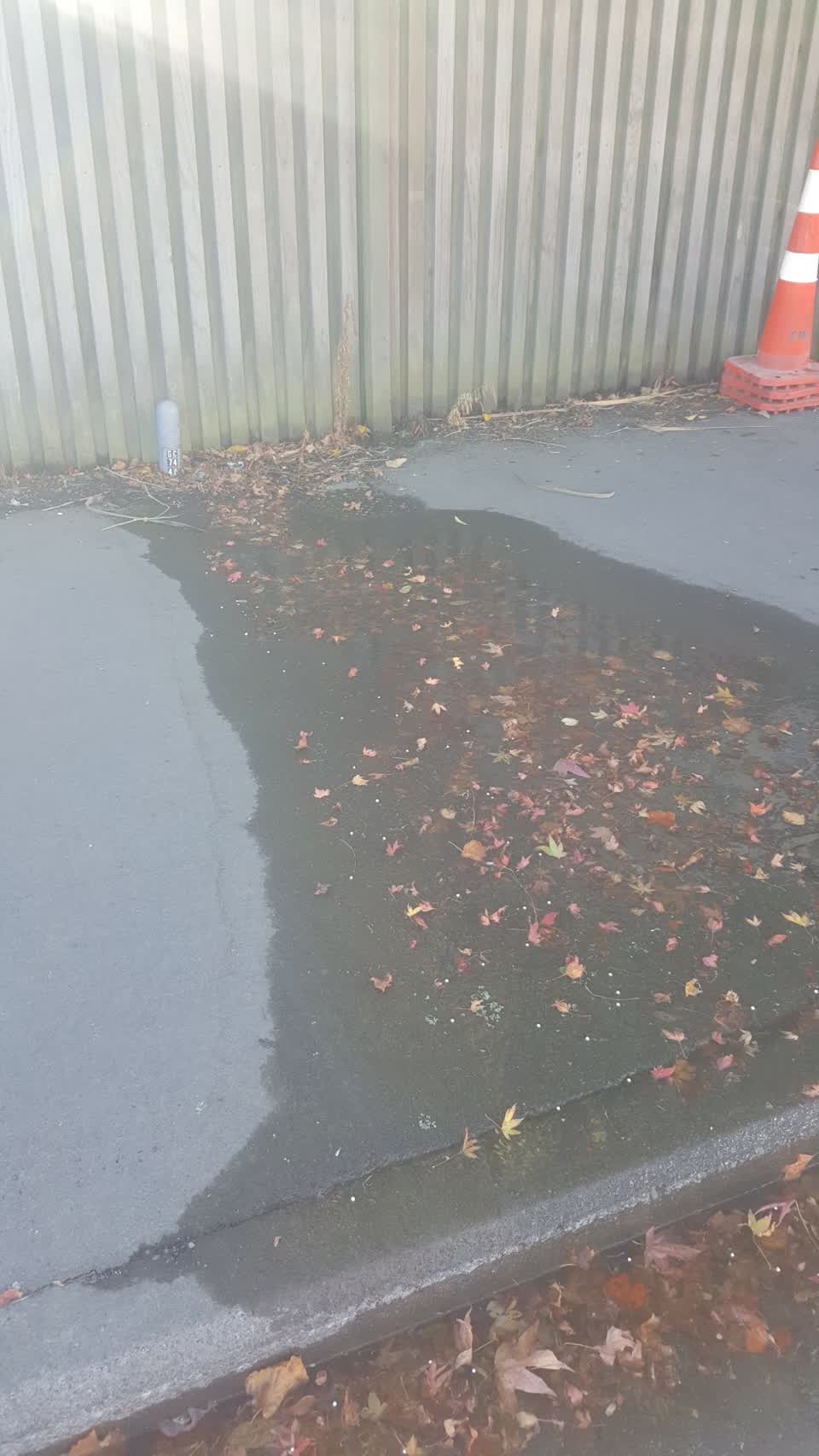 The photograph attached to this water leak report