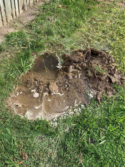 Water Leak, a report photo