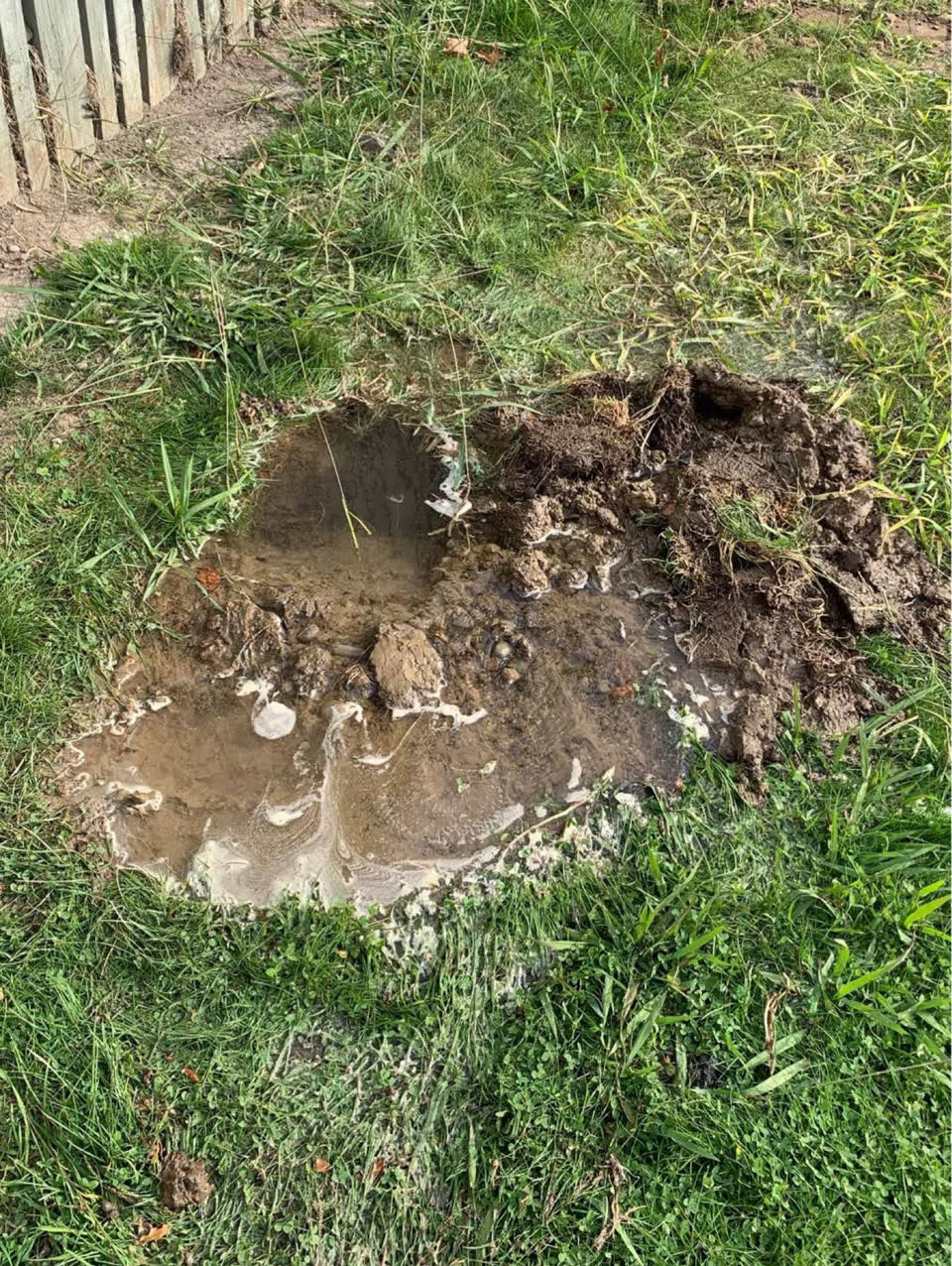 The photograph attached to this water leak report