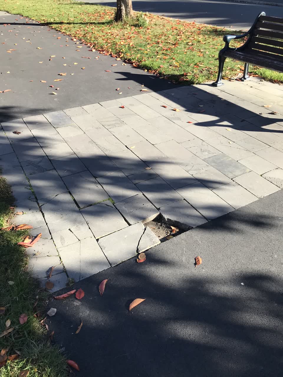 The photograph attached to this roading/streets report