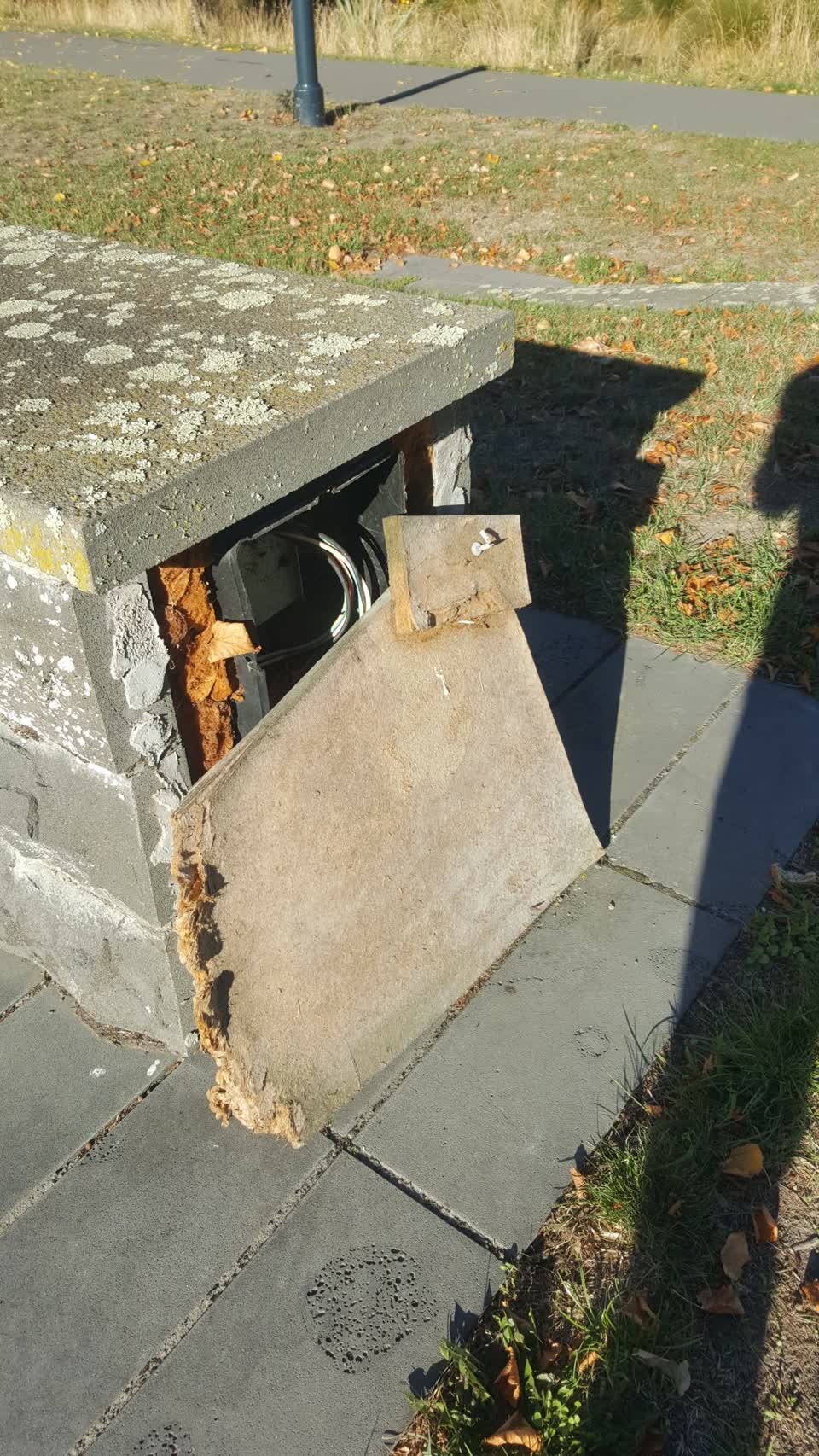 The photograph attached to this parks report