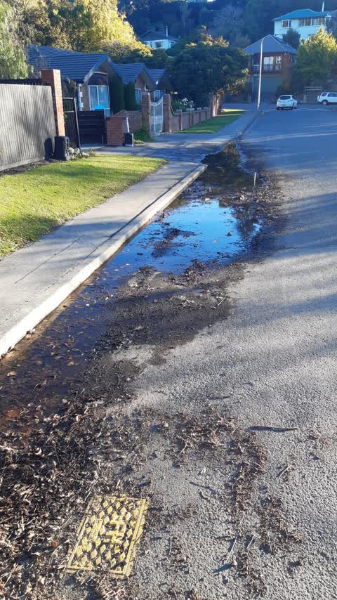 Water Leak, a report photo