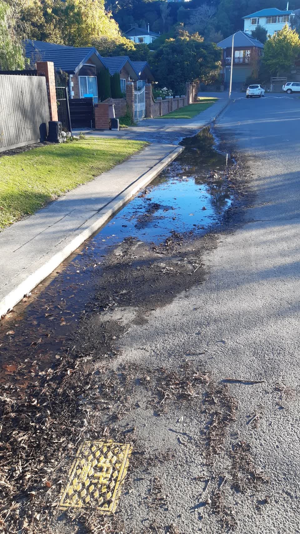 The photograph attached to this water leak report