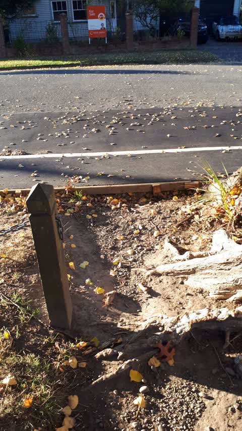 Roading/Streets, a report photo