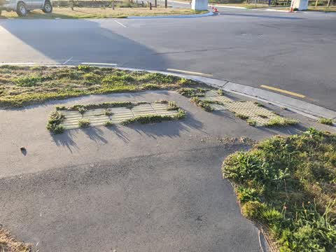 Parks, a report photo