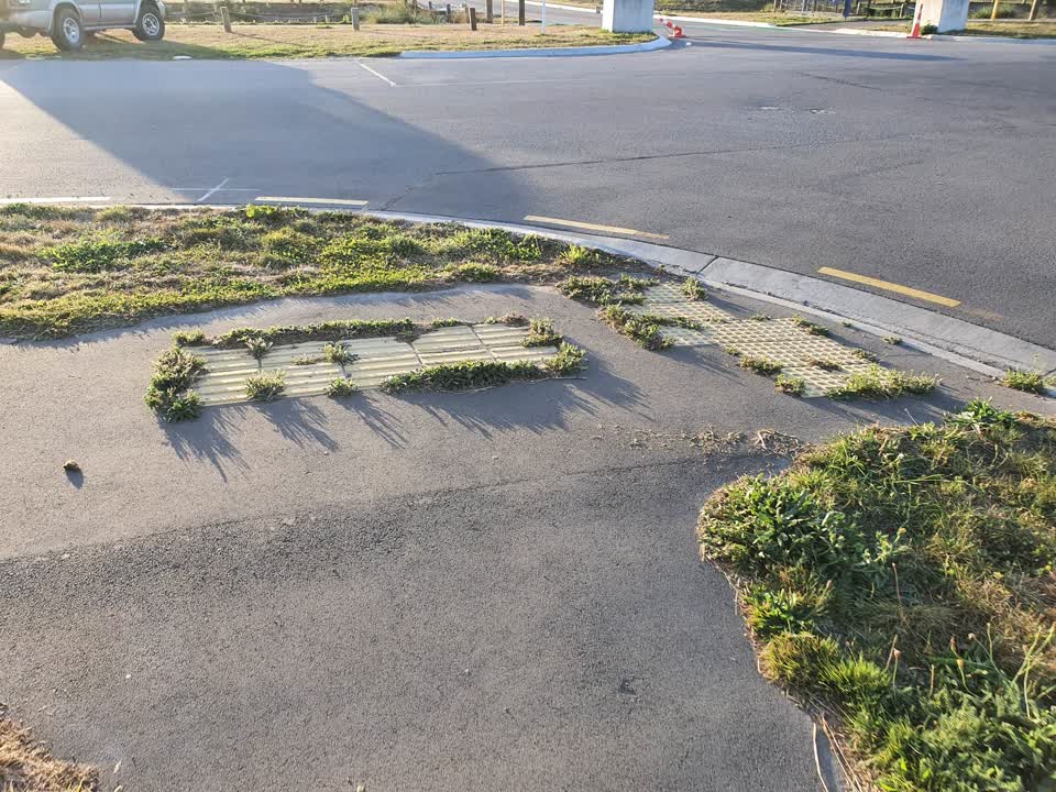 The photograph attached to this parks report