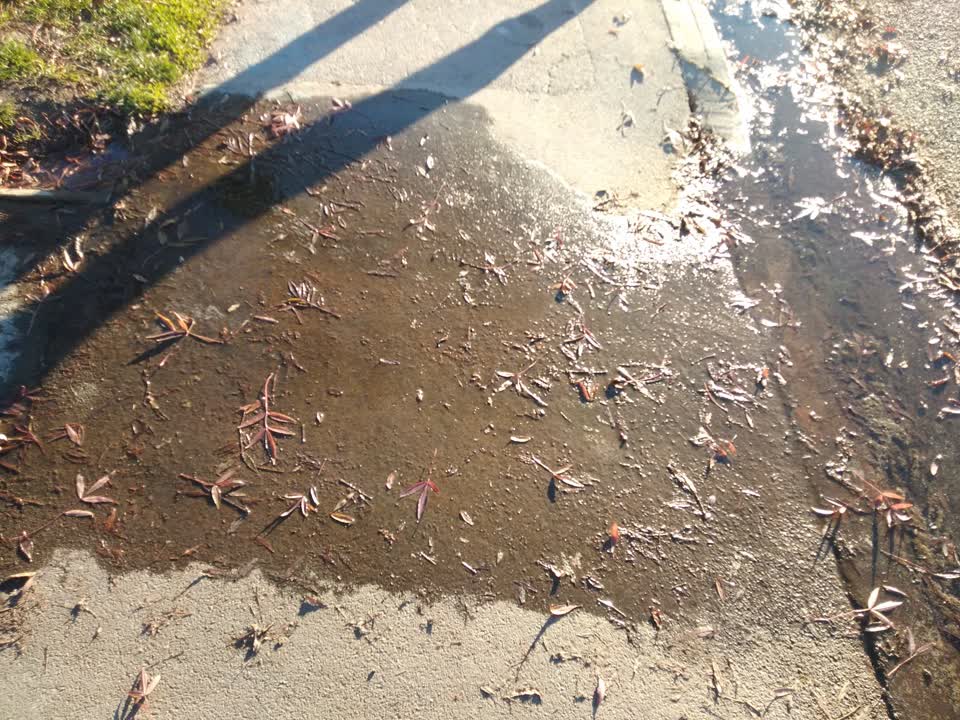 The photograph attached to this water leak report