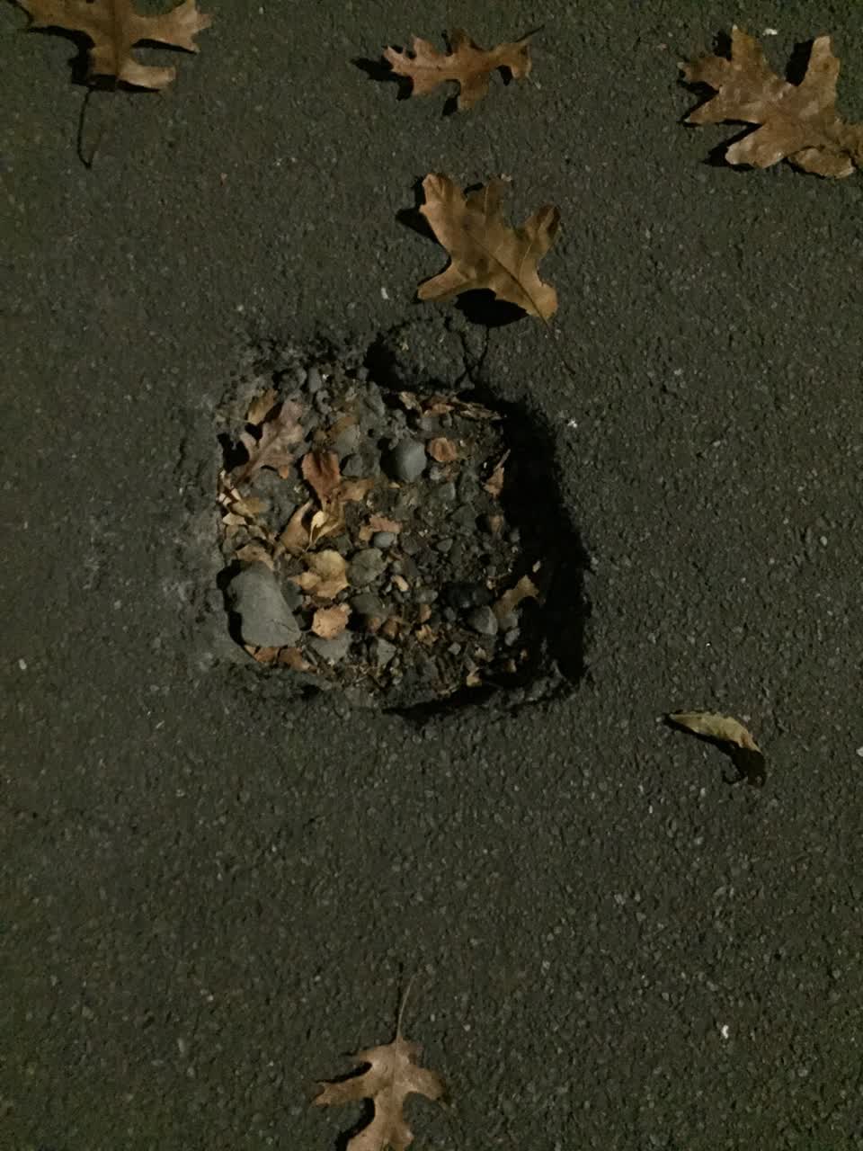 The photograph attached to this roading/streets report
