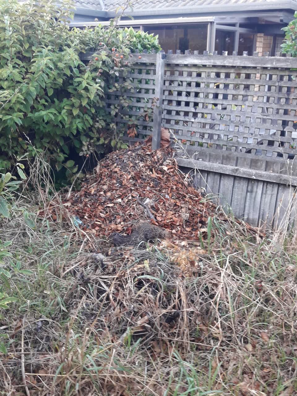 The photograph attached to this parks report