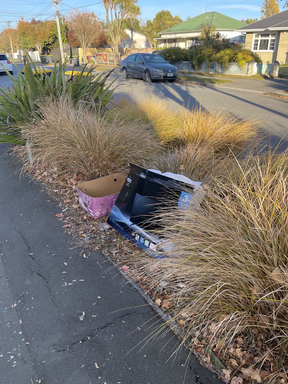 The photograph attached to this rubbish/recycling report
