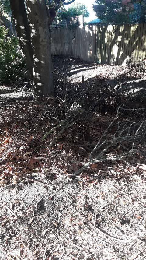 Parks, a report photo