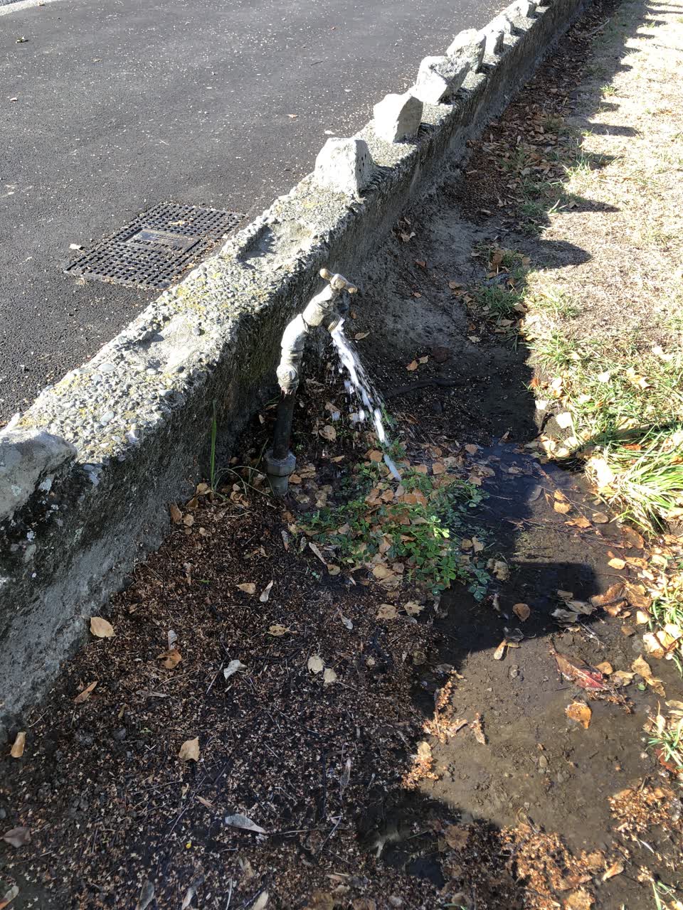The photograph attached to this water leak report