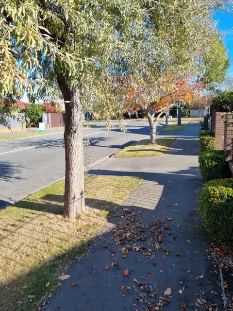 Roading/Streets — a report photo