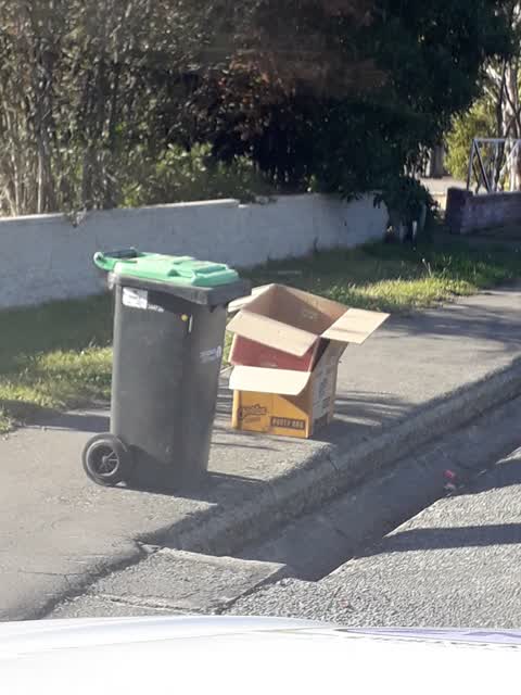 Rubbish/Recycling, a report photo