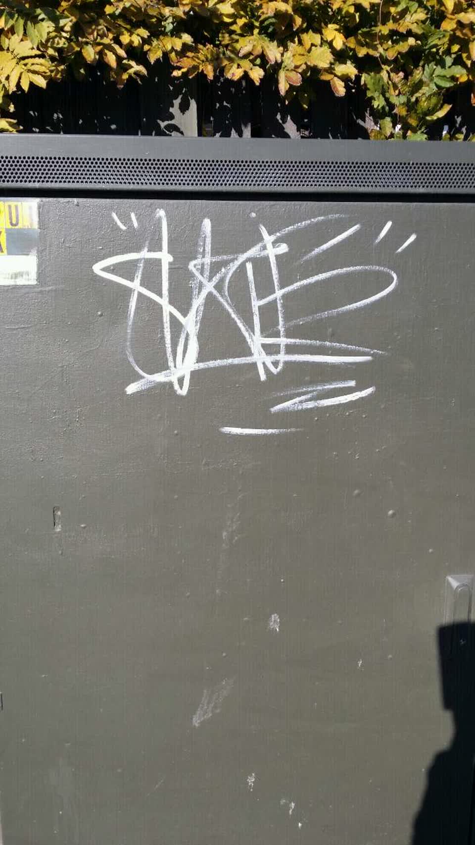 The photograph attached to this graffiti report