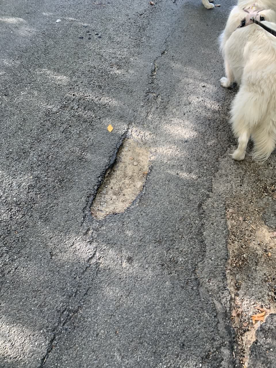 The photograph attached to this roading/streets report