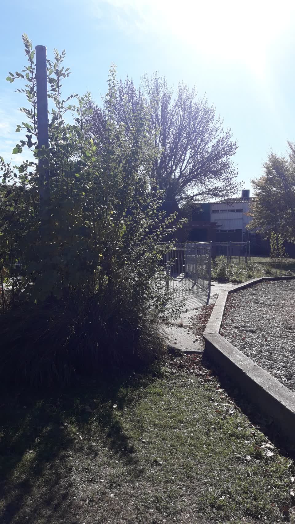 The photograph attached to this parks report