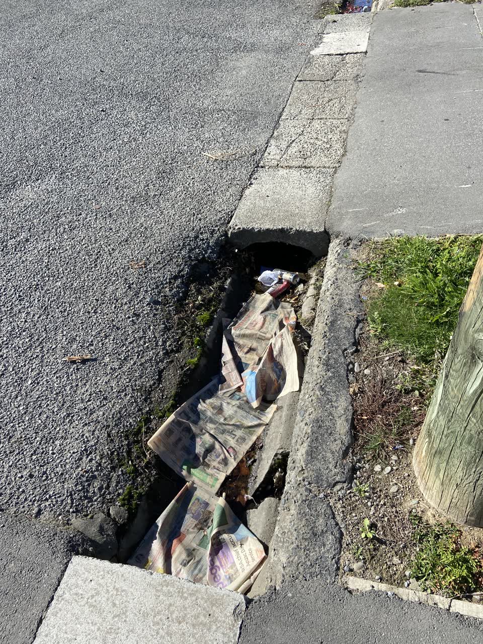 The photograph attached to this roading/streets report