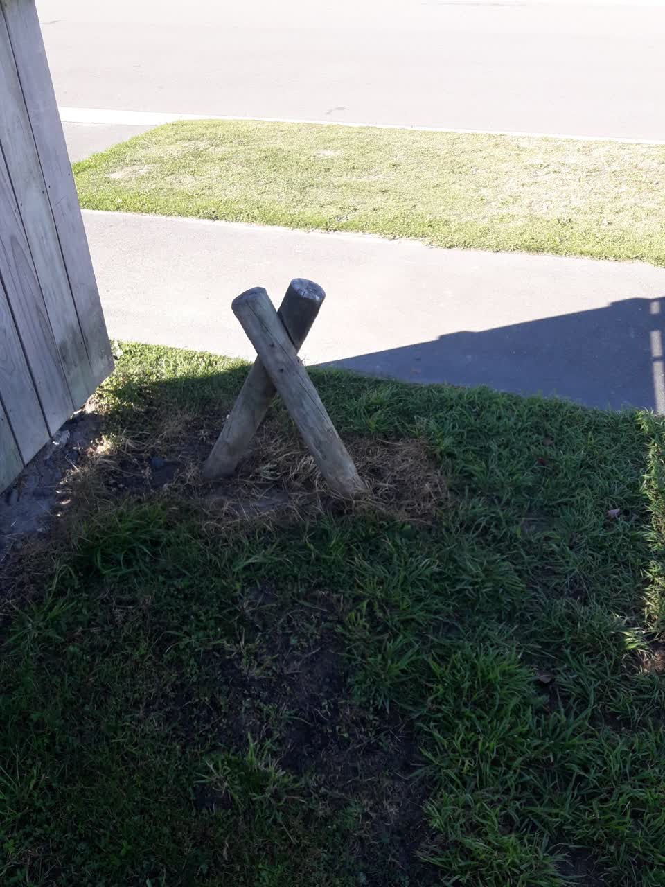 The photograph attached to this parks report