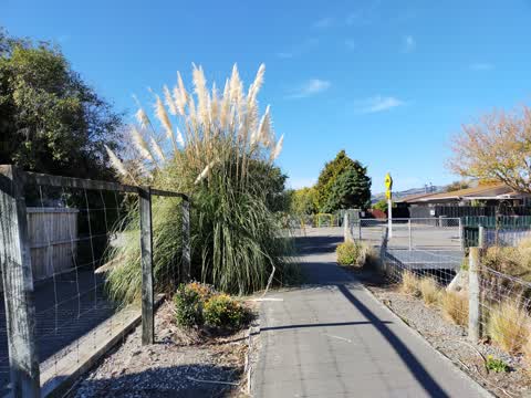 Roading/Streets, a report photo