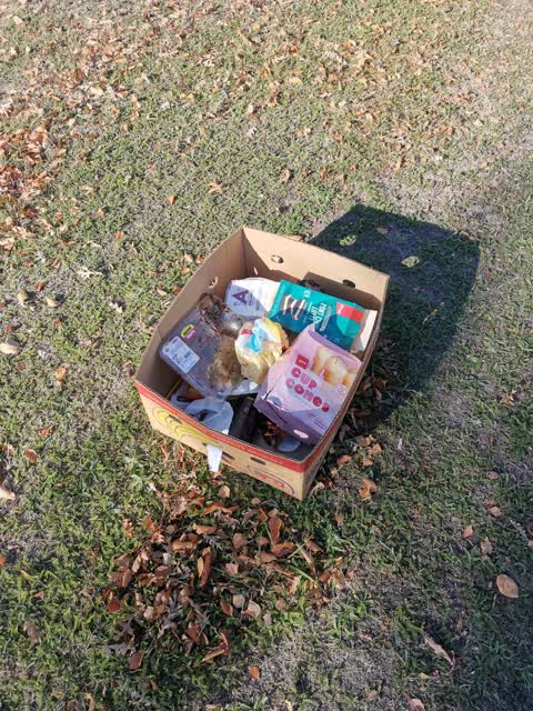 Rubbish/Recycling, a report photo
