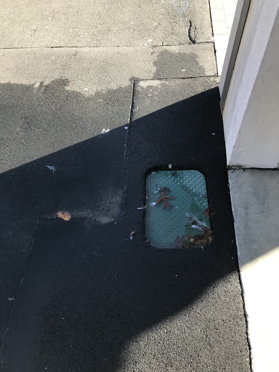The photograph attached to this water leak report